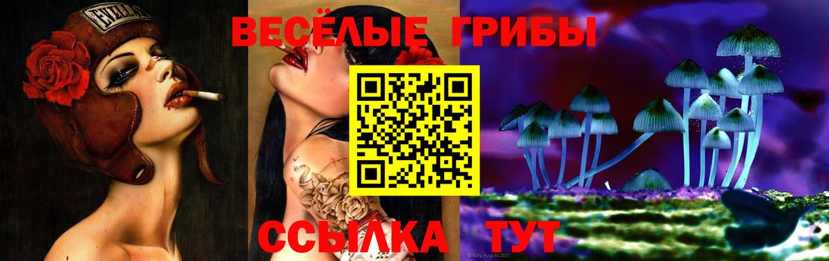 Галлюциногенные грибы Psilocybine cubensis Пугачёв
